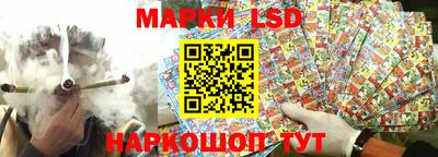 стаф Нальчик